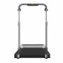 Cinta de Correr Xiaomi WALKINGPAD R2H