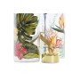 Bouteille d'eau DKD Home Decor Tropical Verre Borosilicaté (550 ml) (2 Unités)