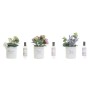 Désodorisant DKD Home Decor Verre PE Plante (2 Pièces) (3 Unités)