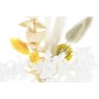 Branche DKD Home Decor Beige Blanc Jaune Fleur séchée (10 x 5 x 23 cm) (2 Unités)