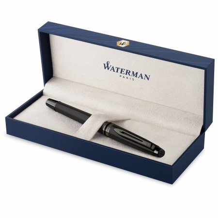 Stylo Calligraphique Waterman Expert (Reconditionné D)