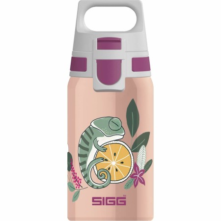 Bouteille d'eau Sigg 9000.9 0,5 L (Reconditionné B)