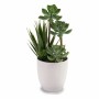 Plante décorative Blanc Plastique (11 x 24 x 11 cm)