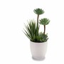 Plante décorative Blanc Plastique (11 x 24 x 11 cm)