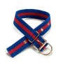 Collier pour Chien Grand Convient pour les chiens et les autres animaux de compagnie (0,5 x 51 x 4 cm)