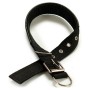 Collier pour Chien (0,2 x 61,5 x 3 cm)