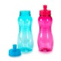 Gourde 550 ml Plastique (550 ml)