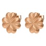 Boucles d´oreilles Femme Folli Follie 1E19T007R (8 cm)