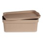 Boîte Multiusage Beige Plastique (21 x 11 x 32 cm)