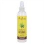 Après-shampooing non clarifiant Shea Moisture Cannabis Sativa (237 ml)