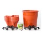 Kit de jardin vertical Irisana Terracota Ecogarden Plastique Terre cuite (45 x 45 cm)