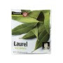 Laurier en fleurs Carmencita (8 g)