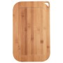 Plateau San Ignacio Verre Couvercle Marron Bambou 2,9 L (41 x 25,3 x 1,5 cm) (2 pcs)
