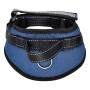 Harnais pour Chien Hearts & Homies Taille S Blue marine