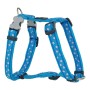 Harnais pour Chien Red Dingo Style Bleu Étoile 30-48 cm