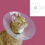 Collier élisabéthain pour chats KVP Saftshield Transparent (6,25 - 8,25 cm)