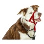 Collier d'entraînement pour chiens Company of Animals Halti Muselière (31-40 cm)