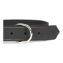 Collier pour Chien Gloria Oasis Noir (1,2 x 35 cm)