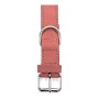 Collier pour Chien Gloria Oasis Rose (1,2 x 35 cm)