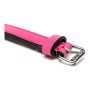 Collier pour Chien Gloria Rembourré Fuchsia (30 x 1,5 cm)