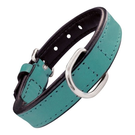 Collier pour Chien Gloria Rembourré Turquoise (45 x 2 cm)