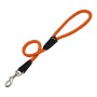 Laisse pour Chien Gloria 1.2 x 60 cm Orange