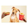 Jouet pour chien Gloria Hamburdog Hamburgers Polyester Feuille de Mousse