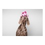 Jouet pour chien Gloria Dogmonsters Rose Cochon