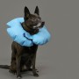 Collier de récupération pour chiens KVP Air-O Bleu Gonflable (10-15 cm)