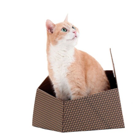 Jouet pour chats United Pets Kitty Marron Caisse Carton (30 x 30 x 32 cm)