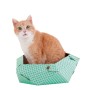 Jouet pour chats United Pets Oliver Vert Caisse Carton (45 x 45 x 25 cm)