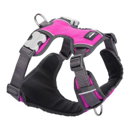 Harnais pour Chien Red Dingo Rembourré Fuchsia Taille L