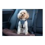 Harnais pour Chien Company of Animals CarSafe Noir Taille XS