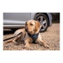 Harnais pour Chien Company of Animals CarSafe Noir Taille M