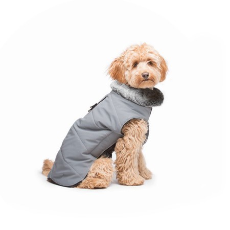 Manteau pour Chien Barber Tools Meteor Tamarack Noir 25 cm