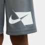 Short de Sport Nike Dri-FIT Multicouleur