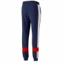 Pantalon pour Adulte Puma Essential+ Colorblock Bleu foncé Homme