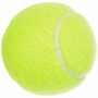 Balles de Tennis Dunlop 601316