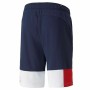 Short de Sport pour Homme Puma Essentials+ Block Bleu foncé