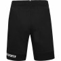 Short de Sport Le coq sportif Regular N°2 Multicouleur