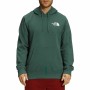 Sweat à capuche homme The North Face Vert