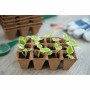 Set de pots Nature Biodégradable Tourbe (12 Pièces)