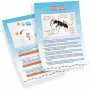 Jeu scientifique Buki Mini Ant World