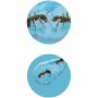 Jeu scientifique Buki Mini Ant World