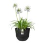 Pot Elho Fuente Lily Ronde Plastique (Ø 38 x 31.4 cm)