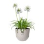 Pot Elho Fuente Lily Ronde Plastique (Ø 38 x 31.4 cm)