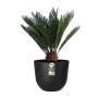 Pot Elho Fuente Grains Ronde Noir Plastique (Ø 38 x 31.4 cm)