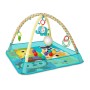 Centre d'activités Bright Starts More-in-One Playmat Ball