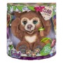 Ours en peluche Cubby Hasbro