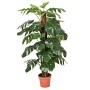 Plante décorative Catral Monstera Vert 135 cm Artificielle